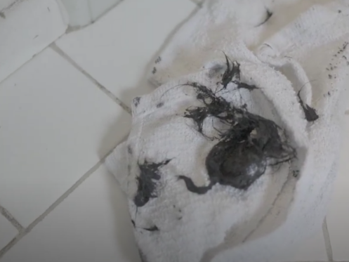 The image shows gunk that was stuck inside a shower drain.