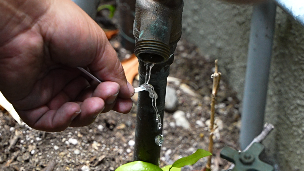 A technician holding a water testing strip under a faucet.