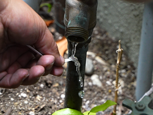 A technician holding a water testing strip under a faucet.